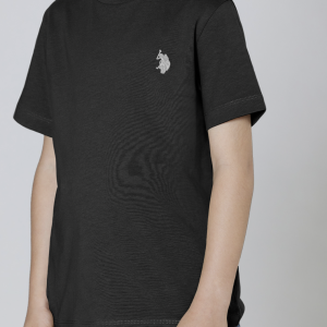 TEE SHIRT ENFANT US POLO
