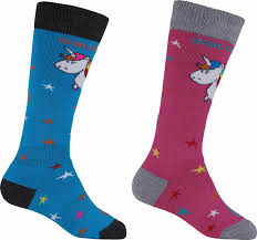 Chaussettes Salomon